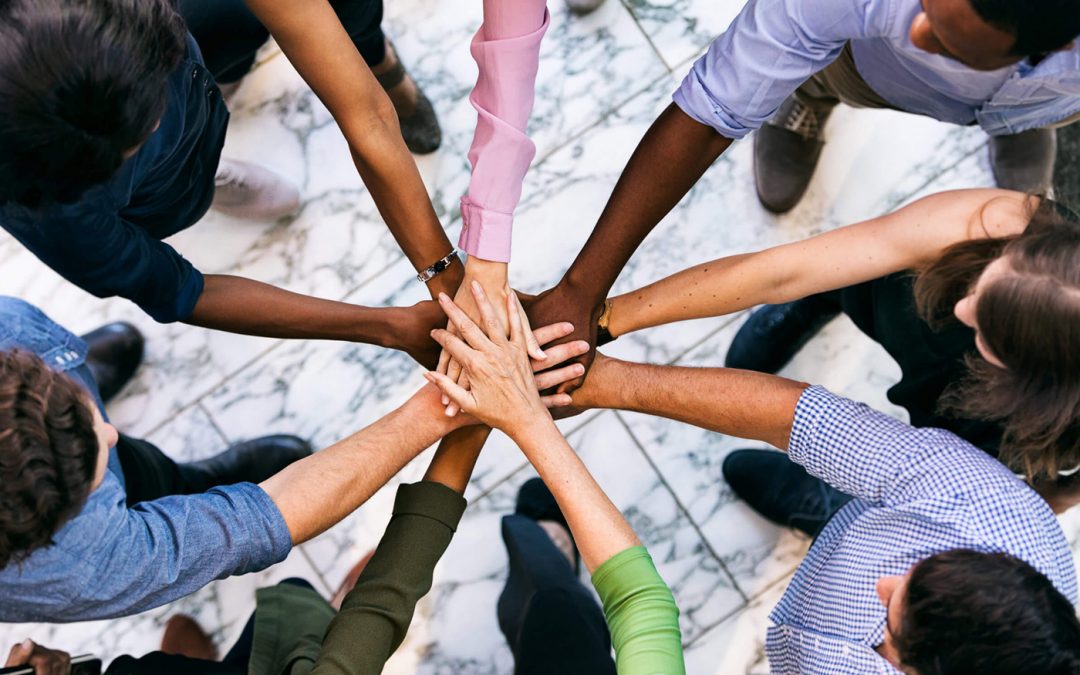 Diversity and Inclusion Initiatives